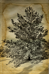 Similar image 5561634