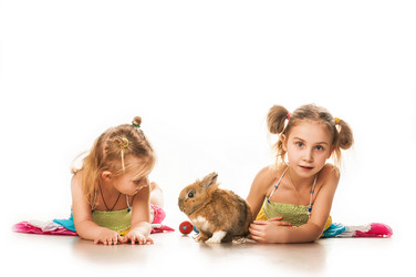 Similar image 5561640