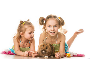 Similar image 5561641