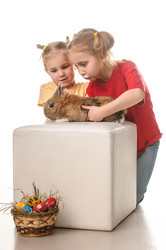 Similar image 5561644