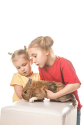 Similar image 5561645