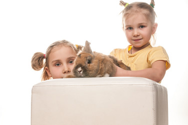 Similar image 5561646