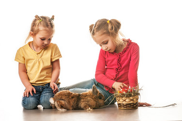 Similar image 5561647