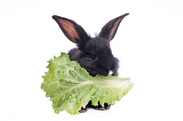 Similar image 5561655