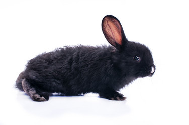 Similar image 5561657