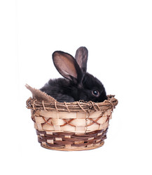 Similar image 5561658