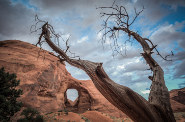 Similar image 5561669