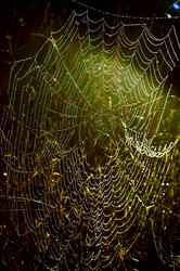 Similar image 5561716