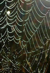 Similar image 5561719