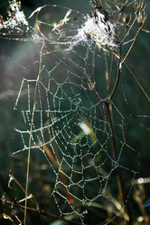 Similar image 5561722