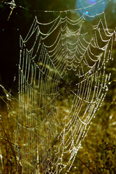 Similar image 5561723