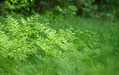 Similar image 5561724