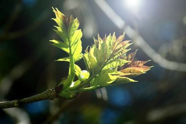 Similar image 5561725