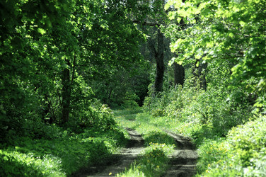 Similar image 5561726