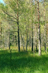 Similar image 5561727