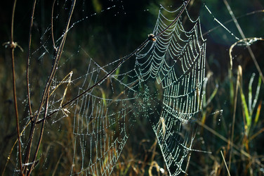 Similar image 5561729