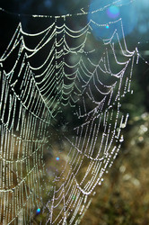 Similar image 5561730