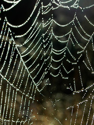 Similar image 5561731