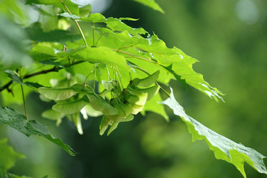 Similar image 5561732