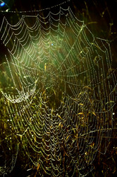 Similar image 5561739