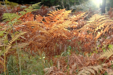 Similar image 5561740