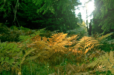 Similar image 5561741