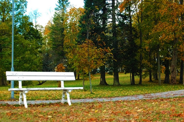 Similar image 5561743