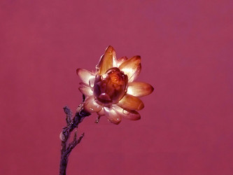 Similar image 5561746