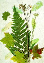 Similar image 5561747