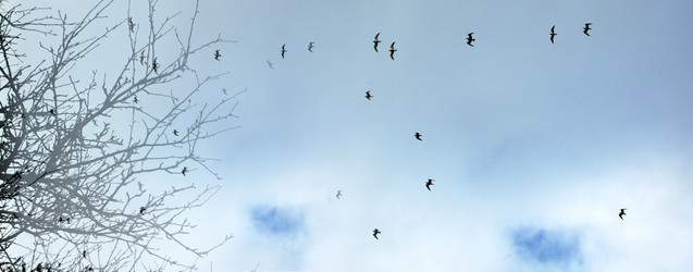 Similar image 5561748