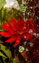 Similar image 5561751