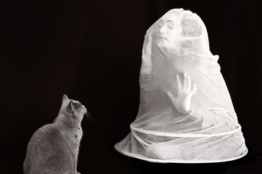 Similar image 5561771