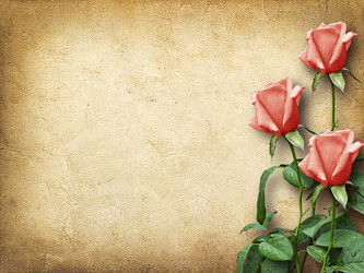 Similar image 5562000