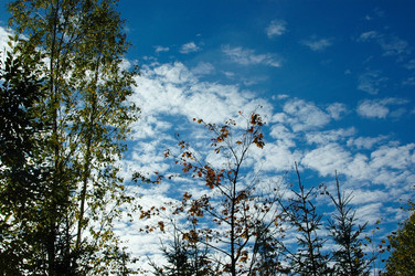 Similar image 5562001