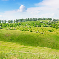 Similar image 5562053