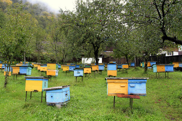 Similar image 5562427