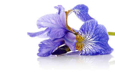 Similar image 5562627