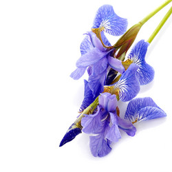 Similar image 5562628