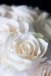 Similar image 5562636