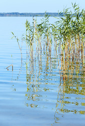 Similar image 5562647