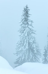 Similar image 5562648
