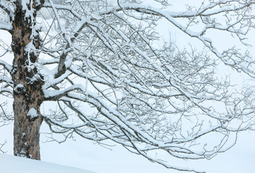 Similar image 5562653