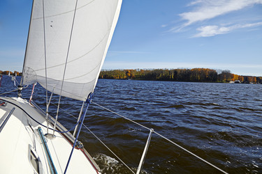 Similar image 5562683