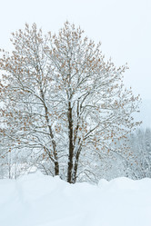 Similar image 5562686