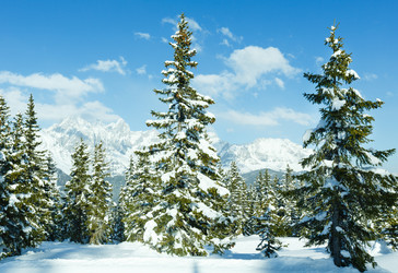 Similar image 5562702