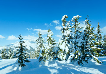 Similar image 5562703