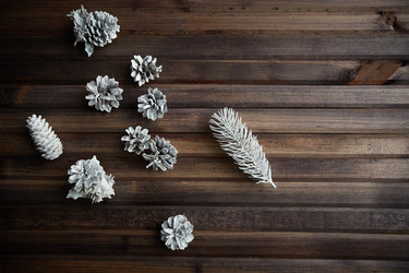 Similar image 5562778