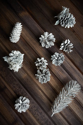 Similar image 5562779