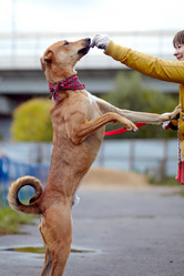 Similar image 5562908