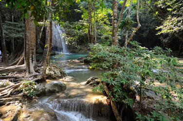 Similar image 5562917